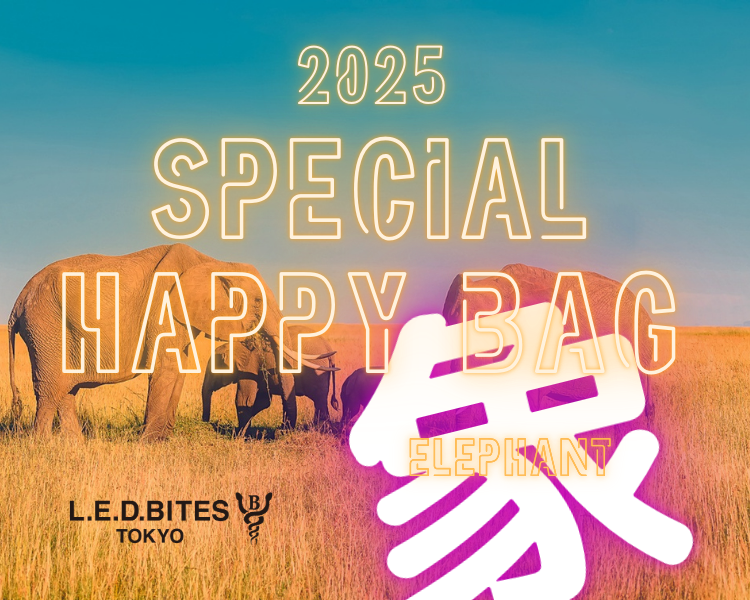 2025年　HAPPY BAG！　ゾウ！！